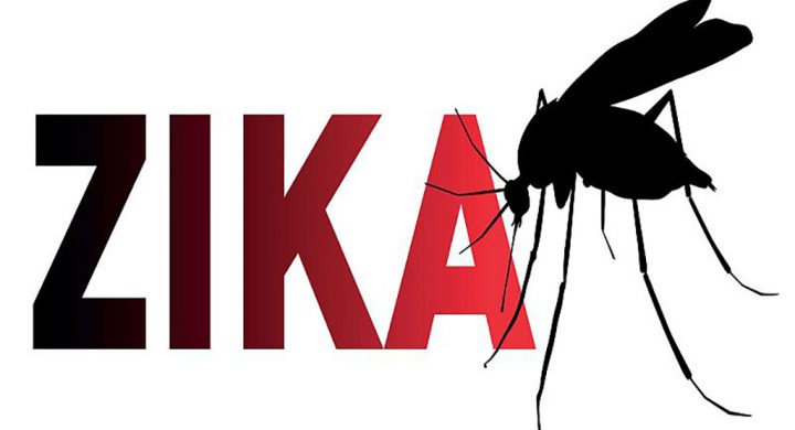 virus Zika taimuihongsg