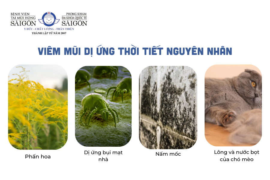 do đâu bị viêm mũi dị ứng
