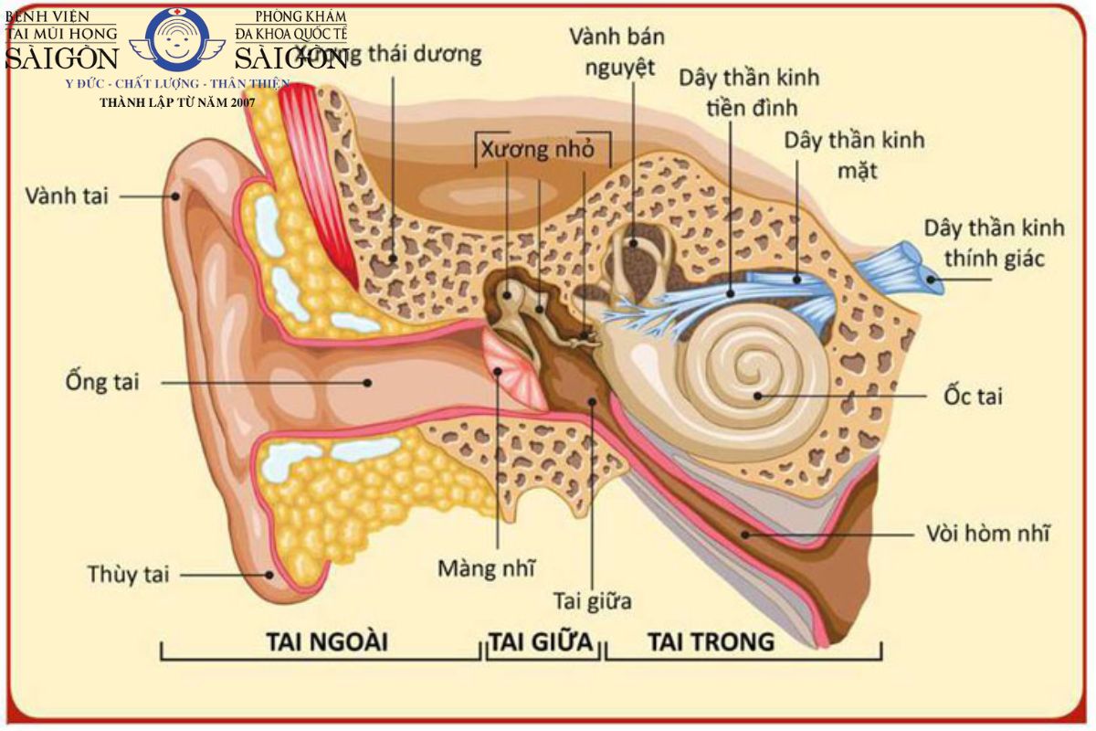 Chảy máu tai là bị gì