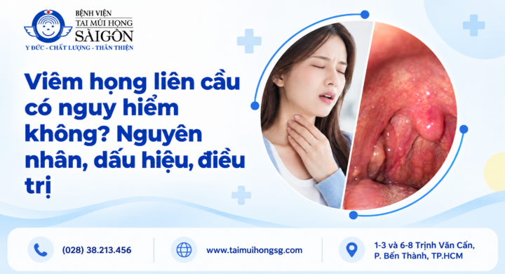 viem hong lien cau brand guideline