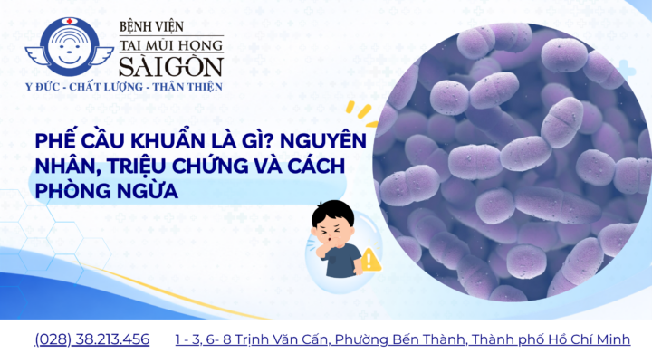 Thiet ke chua co ten 9